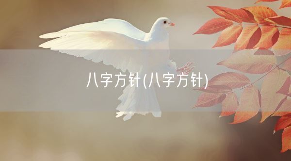 八字方针(八字方针)(图1)