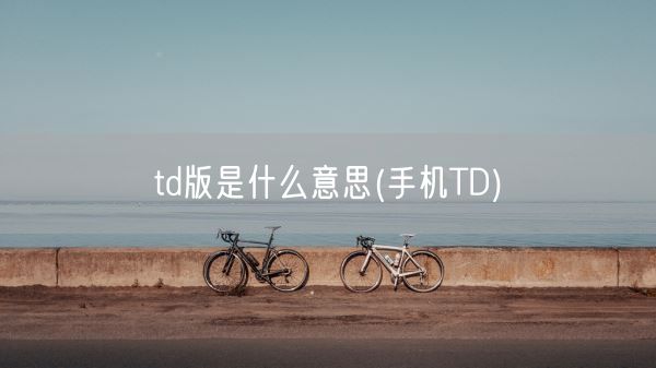 td版是什么意思(手机TD)(图1) td版是什么意思(手机TD)(图1)