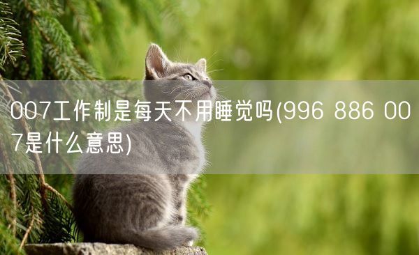 007工作制是每天不用睡觉吗(996 886 007是什么意思)(图1) 007工作制是每天不用睡觉吗(996 886 007是什么意思)(图1)