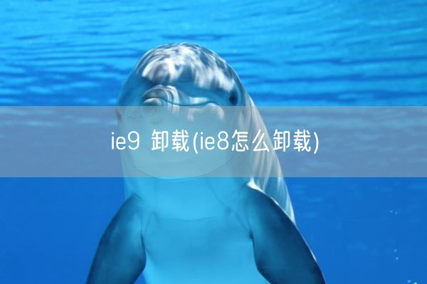 ie9 卸载(ie8怎么卸载)(图1) ie9 卸载(ie8怎么卸载)(图1)