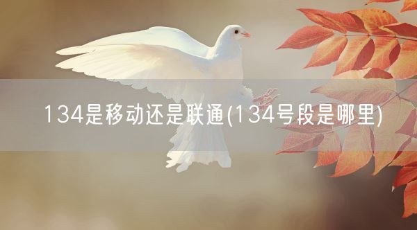 134是移动还是联通(134号段是哪里)(图1)