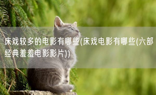 床戏较多的电影有哪些(床戏电影有哪些(六部经典羞羞电影影片))(图1)