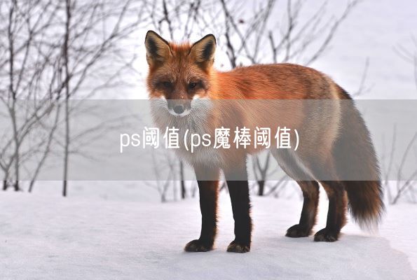 ps阈值(ps魔棒阈值)(图1)