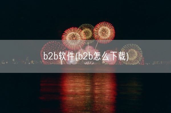 b2b软件(b2b怎么下载)(图1)