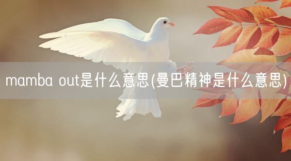 mamba out是什么意思(曼巴精神是什么意思)(图1)