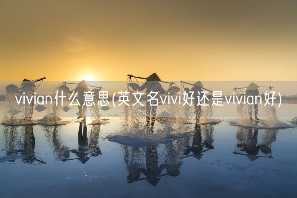 vivian什么意思(英文名vivi好还是vivian好)(图1)