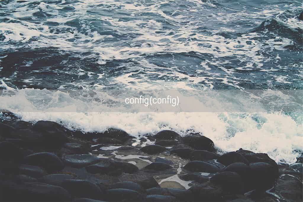 config(config)(图1)
