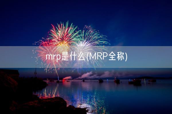 mrp是什么(MRP全称)(图1)