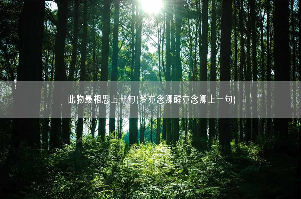 此物最相思上一句(梦亦念卿醒亦念卿上一句)(图1) 此物最相思上一句(梦亦念卿醒亦念卿上一句)(图1)