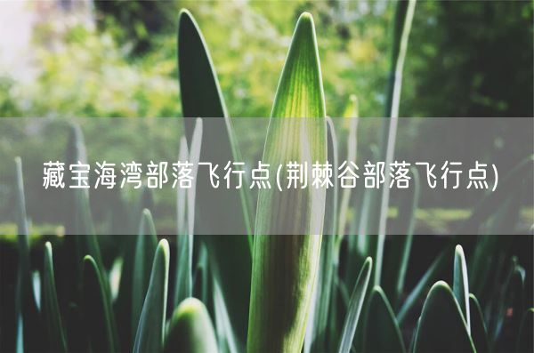 藏宝海湾部落飞行点(荆棘谷部落飞行点)(图1) 藏宝海湾部落飞行点(荆棘谷部落飞行点)(图1)