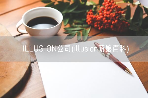 ILLUSION公司(illusion萌娘百科)(图1)