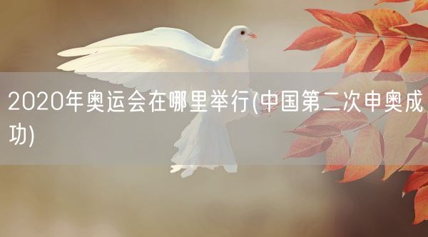 2020年奥运会在哪里举行(中国第二次申奥成功)(图1)