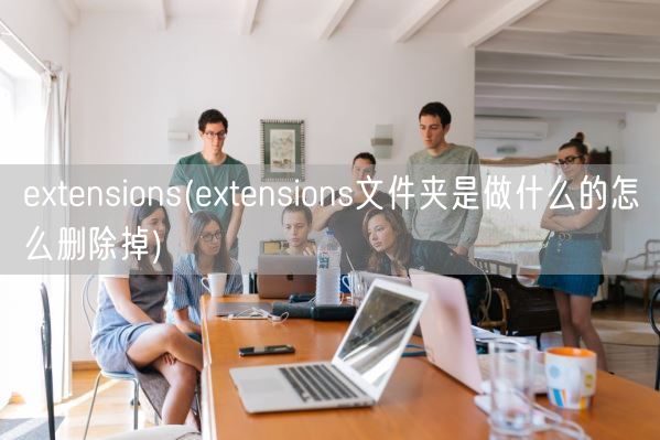 extensions(extensions文件夹是做什么的怎么删除掉)(图1) extensions(extensions文件夹是做什么的怎么删除掉)(图1)