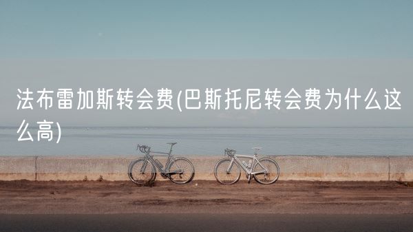 法布雷加斯转会费(巴斯托尼转会费为什么这么高)(图1)