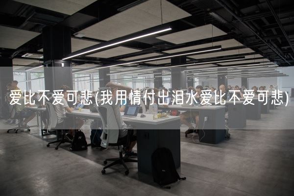 爱比不爱可悲(我用情付出泪水爱比不爱可悲)(图1)