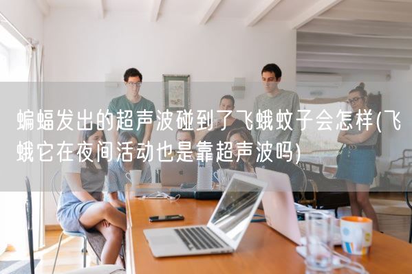 蝙蝠发出的超声波碰到了飞蛾蚊子会怎样(飞蛾它在夜间活动也是靠超声波吗)(图1)
