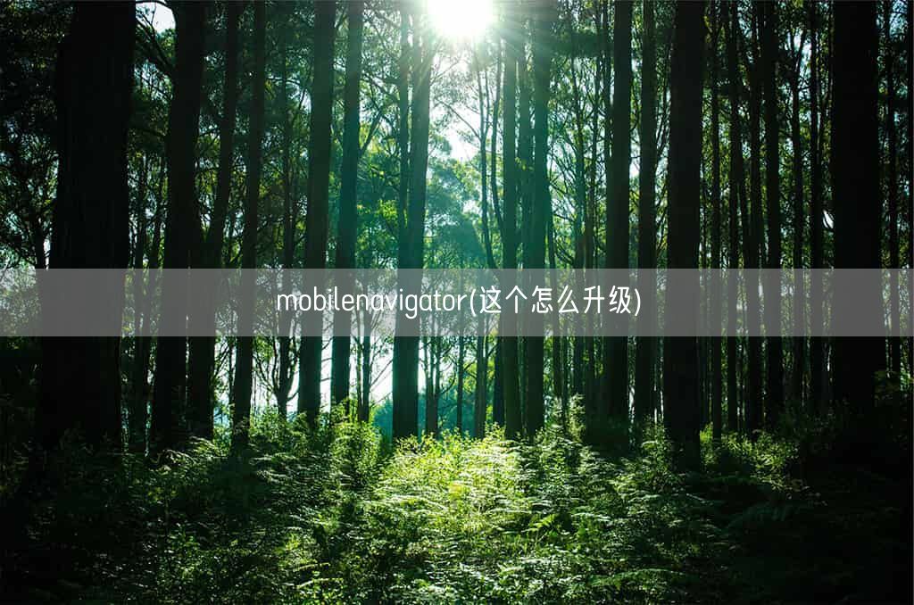 mobilenavigator(这个怎么升级)(图1) mobilenavigator(这个怎么升级)(图1)
