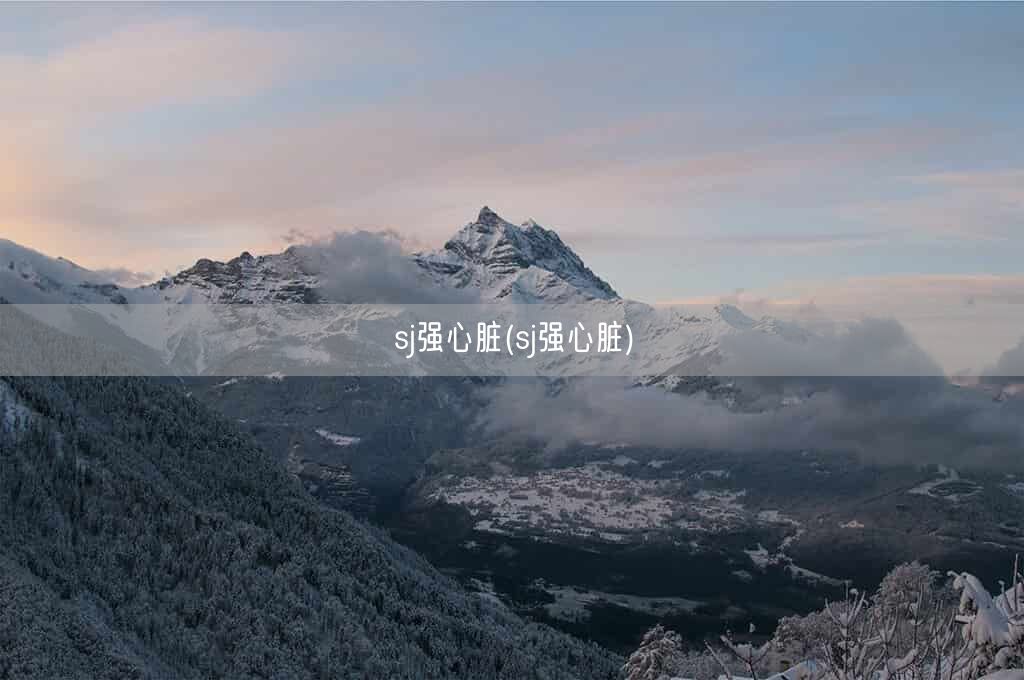 sj强心脏(sj强心脏)(图1) sj强心脏(sj强心脏)(图1)