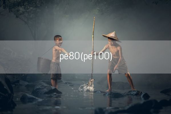 pe80(pe100)(图1)
