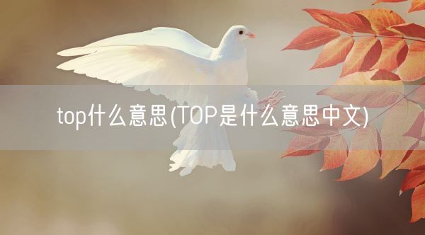 top什么意思(TOP是什么意思中文)(图1) top什么意思(TOP是什么意思中文)(图1)