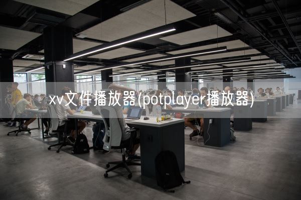 xv文件播放器(potplayer播放器)(图1) xv文件播放器(potplayer播放器)(图1)