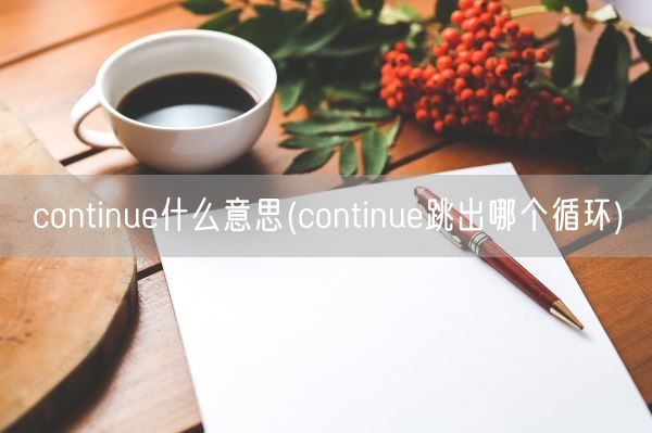 continue什么意思(continue跳出哪个循环)(图1)