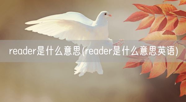 reader是什么意思(reader是什么意思英语)(图1)