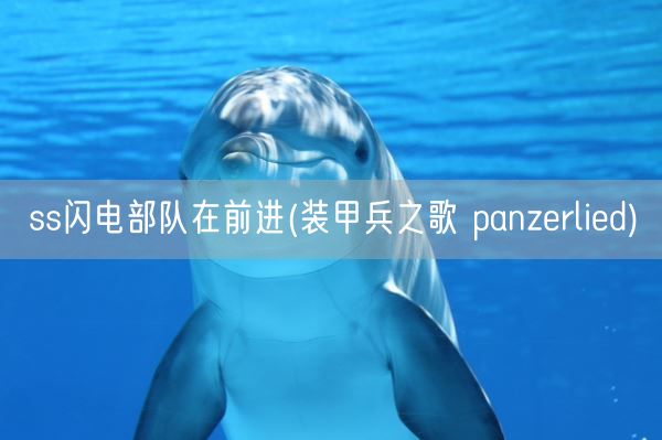 ss闪电部队在前进(装甲兵之歌 panzerlied)(图1) ss闪电部队在前进(装甲兵之歌 panzerlied)(图1)