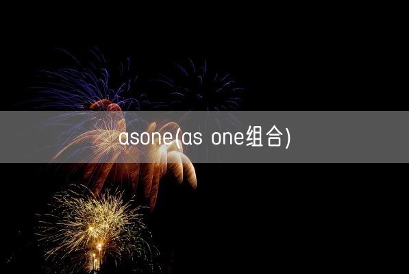asone(as one组合)(图1) asone(as one组合)(图1)