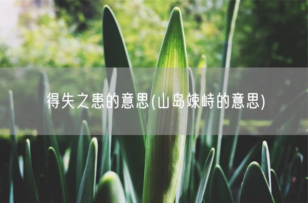 得失之患的意思(山岛竦峙的意思)(图1)
