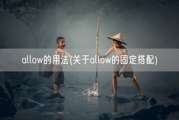 allow的用法(关于allow的固定搭配)(图1)