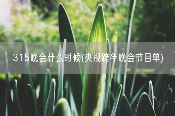 315晚会什么时候(央视跨年晚会节目单)(图1) 315晚会什么时候(央视跨年晚会节目单)(图1)