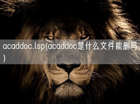 acaddoc.lsp(acaddoc是什么文件能删吗)(图1) acaddoc.lsp(acaddoc是什么文件能删吗)(图1)