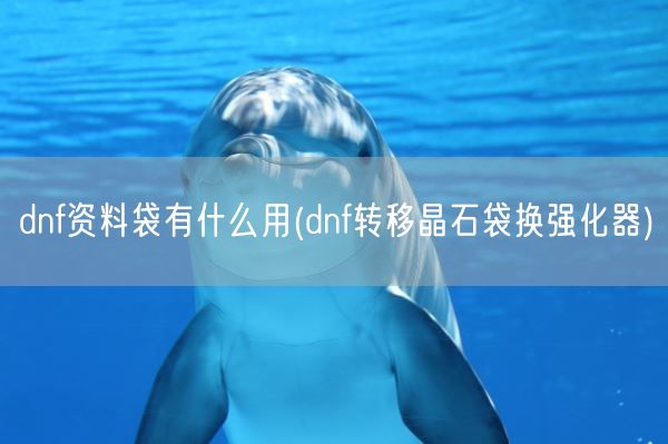 dnf资料袋有什么用(dnf转移晶石袋换强化器)(图1)