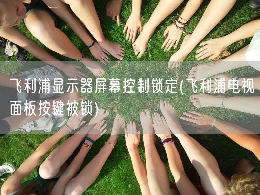 飞利浦显示器屏幕控制锁定(飞利浦电视面板按键被锁)(图1)