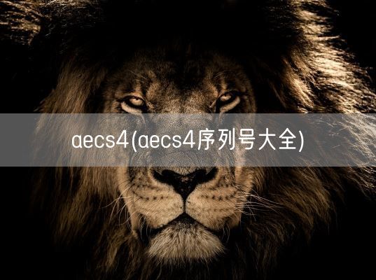 aecs4(aecs4序列号大全)(图1)