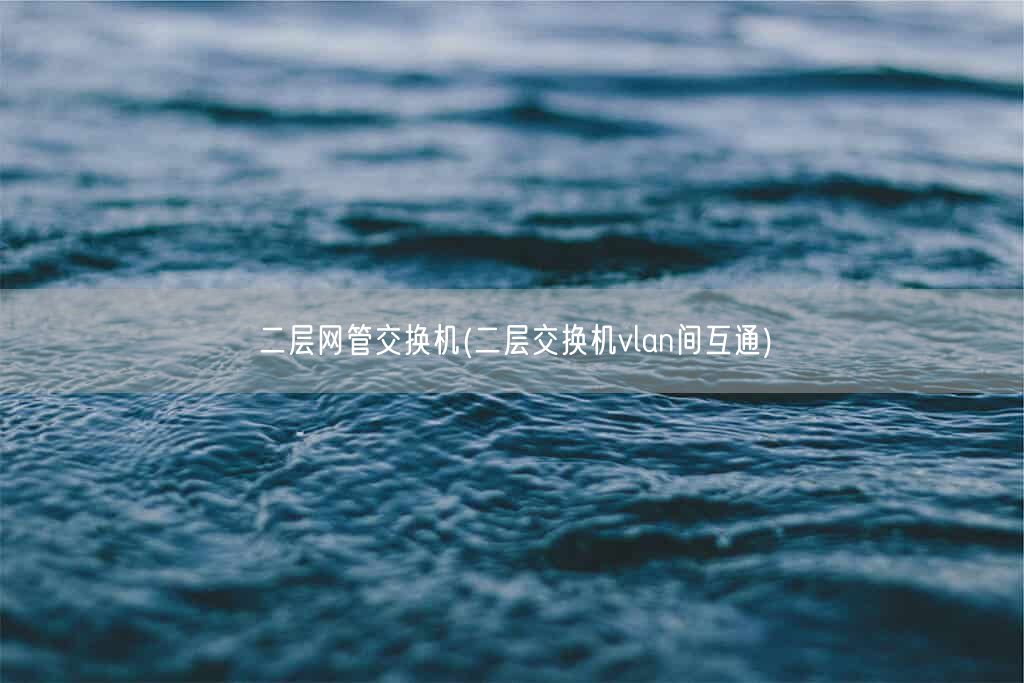 二层网管交换机(二层交换机vlan间互通)(图1)
