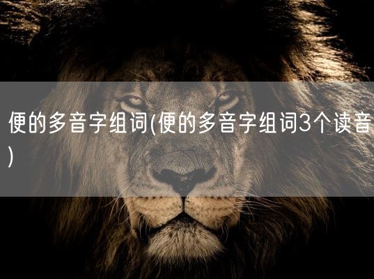 便的多音字组词(便的多音字组词3个读音)(图1) 便的多音字组词(便的多音字组词3个读音)(图1)