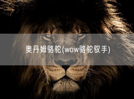 奥丹姆骆驼(wow骆驼驭手)(图1)