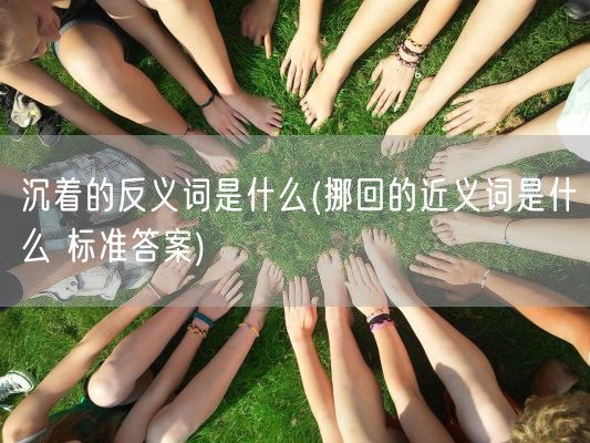 沉着的反义词是什么(挪回的近义词是什么 标准答案)(图1)