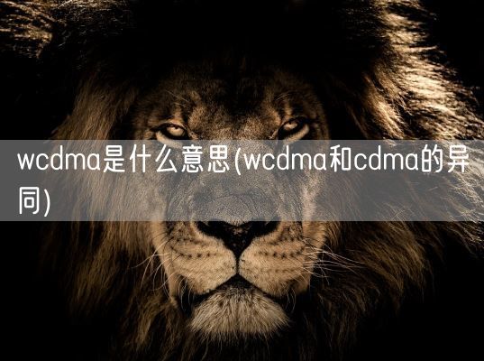 wcdma是什么意思(wcdma和cdma的异同)(图1)