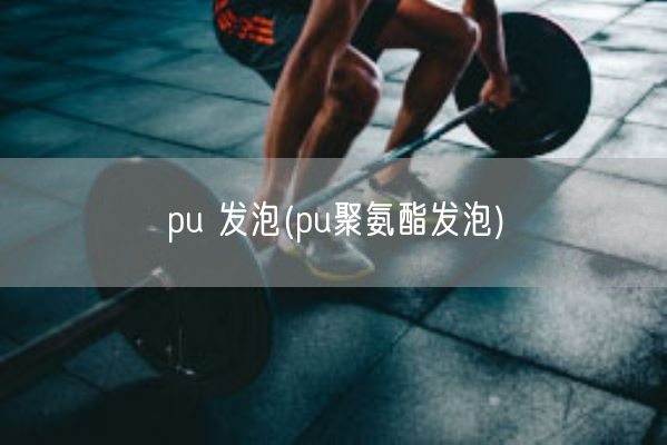 pu 发泡(pu聚氨酯发泡)(图1)