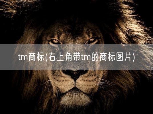 tm商标(右上角带tm的商标图片)(图1) tm商标(右上角带tm的商标图片)(图1)