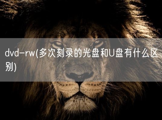 dvd-rw(多次刻录的光盘和U盘有什么区别)(图1)