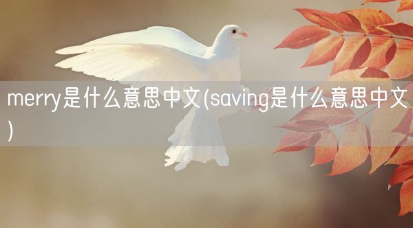 merry是什么意思中文(saving是什么意思中文)(图1)
