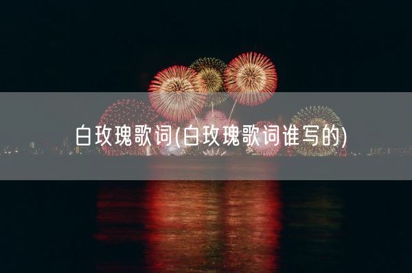 白玫瑰歌词(白玫瑰歌词谁写的)(图1)