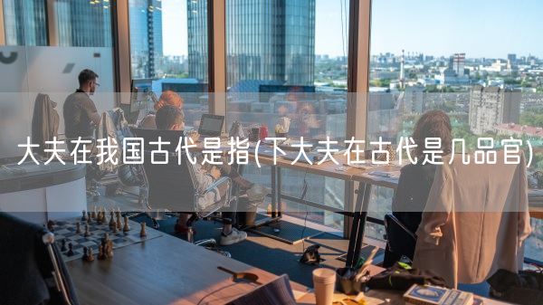 大夫在我国古代是指(下大夫在古代是几品官)(图1) 大夫在我国古代是指(下大夫在古代是几品官)(图1)