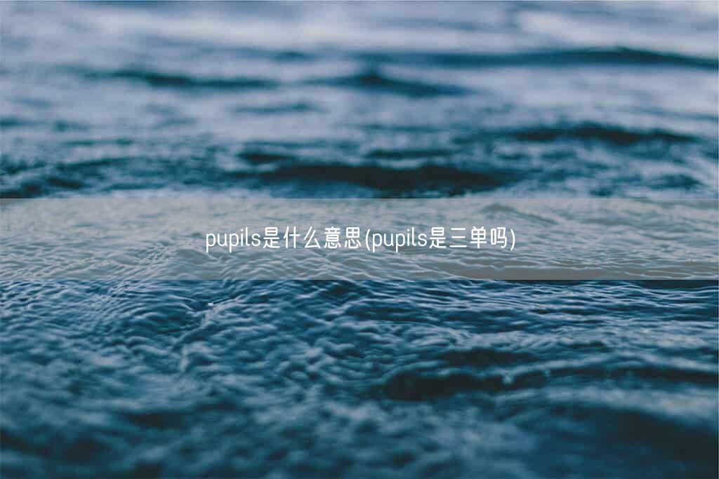 pupils是什么意思(pupils是三单吗)(图1) pupils是什么意思(pupils是三单吗)(图1)