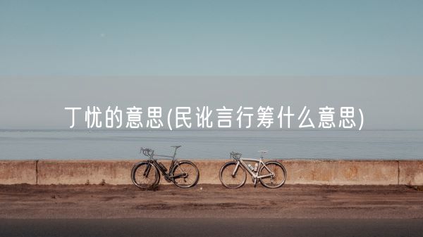 丁忧的意思(民讹言行筹什么意思)(图1)