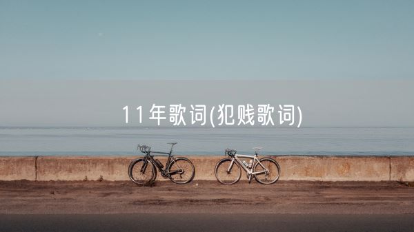 11年歌词(犯贱歌词)(图1)